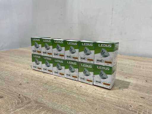 Ledus Led lamp (12x)