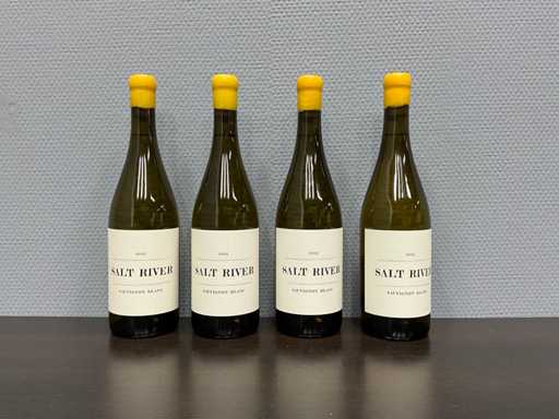 Duncan Savage 'Salt River' 2023 (4x)