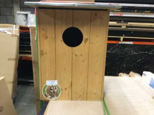 ED - Terariul bufnițelor