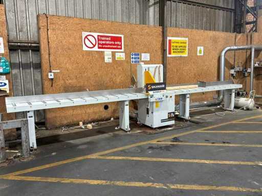 Salvador - 2023 - Scie à bras radial sous-jacente