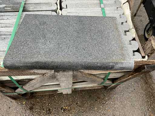 Conseil de la piscine Diorithe 41 mm