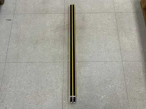 Leuze Electronic MLC Walk-in Guard (3x)