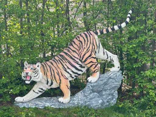 Tiger on Rock H155cm x L180cm