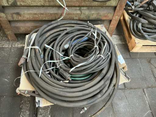 Lotto di serpenti e vari